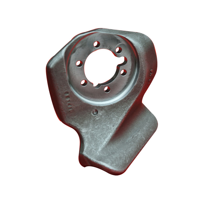 Why Are Co Housing Type Forgings Essential for High-Performance Industrial Applications Why Are Co Housing Type Forgings Essential for High-Performance Industrial Applications